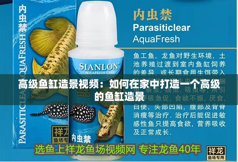 高級魚缸造景視頻：如何在家中打造一個高級的魚缸造景