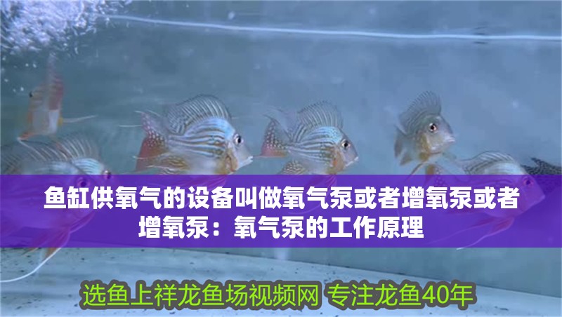 魚缸供氧氣的設備叫做氧氣泵或者增氧泵或者增氧泵：氧氣泵的工作原理