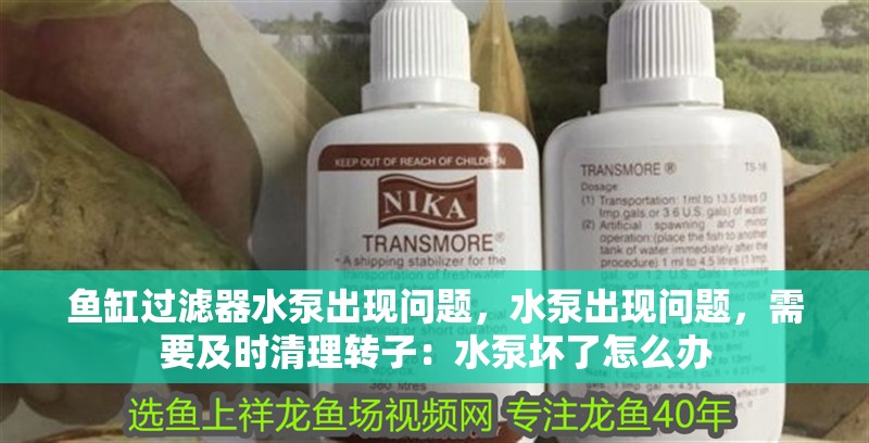 魚缸過濾器水泵出現(xiàn)問題，水泵出現(xiàn)問題，需要及時清理轉子：水泵壞了怎么辦