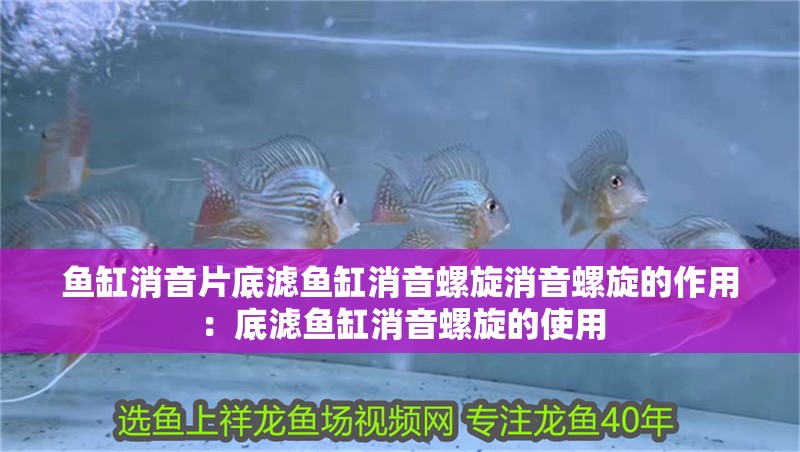 魚缸消音片底濾魚缸消音螺旋消音螺旋的作用：底濾魚缸消音螺旋的使用