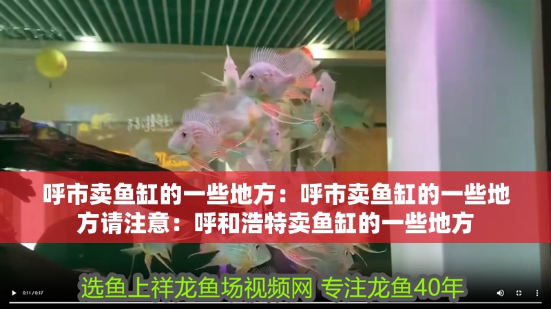 呼市賣魚缸的一些地方：呼市賣魚缸的一些地方請注意：呼和浩特賣魚缸的一些地方