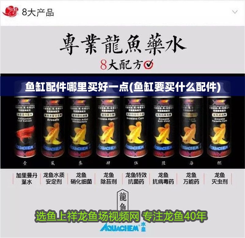 魚缸配件哪里買好一點(diǎn)(魚缸要買什么配件) 錦鯉魚百科 第1張 魚缸配件哪里買好一點(diǎn)(魚缸要買什么配件) 魚缸配件哪里買好一點(diǎn)(魚缸要買什么配件) 錦鯉魚百科 第1張