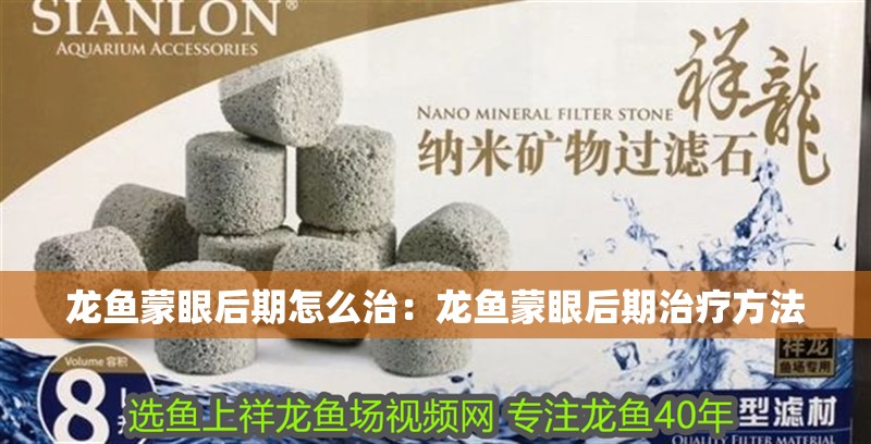 龍魚蒙眼后期怎么治：龍魚蒙眼后期治療方法