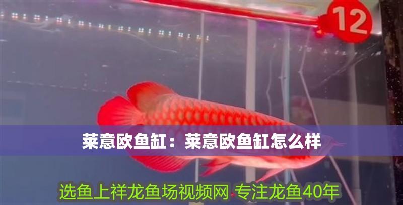 萊意歐魚缸：萊意歐魚缸怎么樣