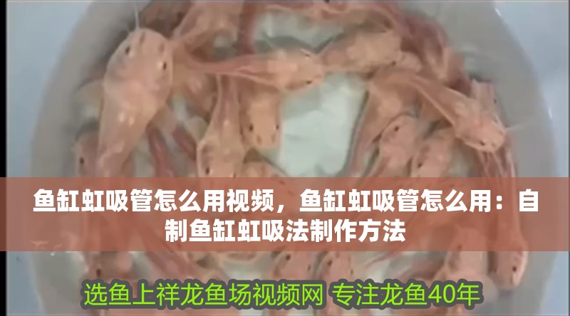 魚缸虹吸管怎么用視頻，魚缸虹吸管怎么用：自制魚缸虹吸法制作方法