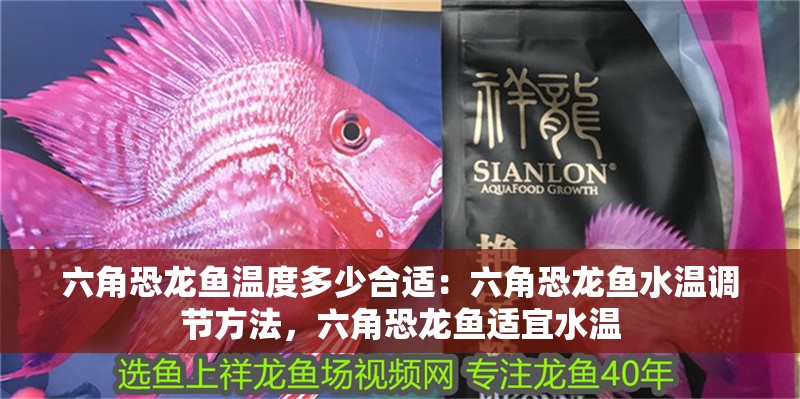 六角恐龍魚溫度多少合適：六角恐龍魚水溫調節方法，六角恐龍魚適宜水溫