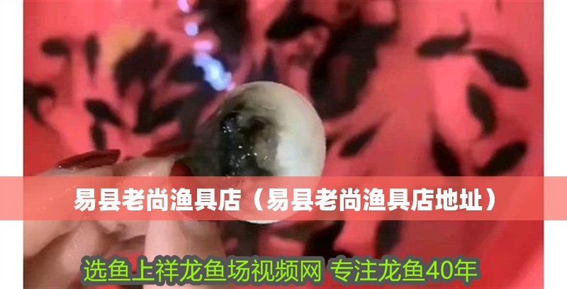 易縣老尚漁具店（易縣老尚漁具店地址）