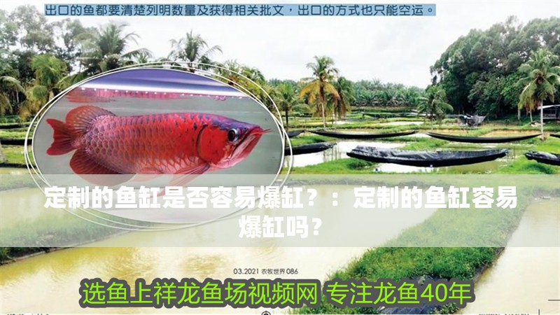 定制的魚缸是否容易爆缸？：定制的魚缸容易爆缸嗎？