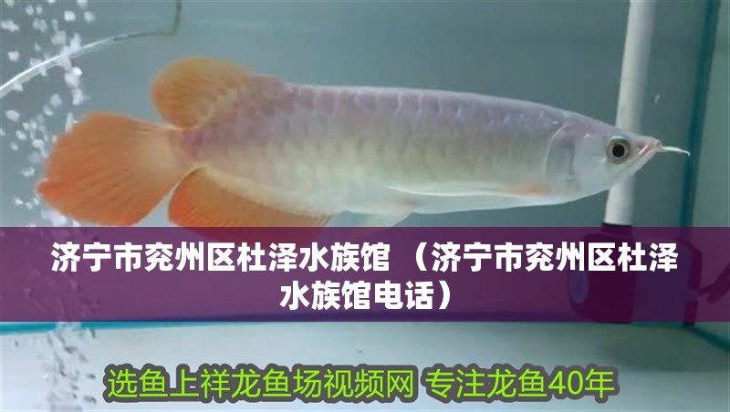 魚缸用增氧泵價格是多少:魚缸增氧機-xtrac增氧機-xtrac增氧機 濟寧市兗州區杜澤水族館 (濟寧市兗州區杜澤水族館電話) 全國水族館企業名錄 濟寧市兗州區杜澤水族館 (濟寧市兗州區杜澤水族館電話) 濟寧市兗州區杜澤水族館 (濟寧市兗州區杜澤水族館電話) 全國水族館企業名錄