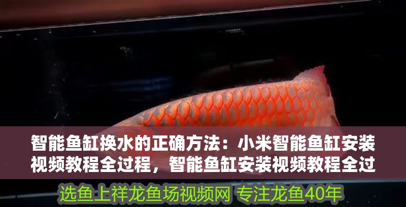 智能魚缸換水的正確方法：小米智能魚缸安裝視頻教程全過程，智能魚缸安裝視頻教程全過程