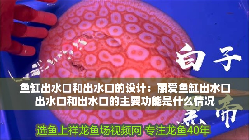 魚缸出水口和出水口的設計：麗愛魚缸出水口出水口和出水口的主要功能是什么情況 魚缸出水口和出水口的設計：麗愛魚缸出水口出水口和出水口的主要功能是什么情況 魚缸百科