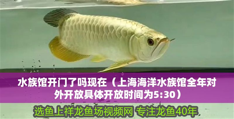 水族館開門了嗎現在（上海海洋水族館全年對外開放具體開放時間為5:30）