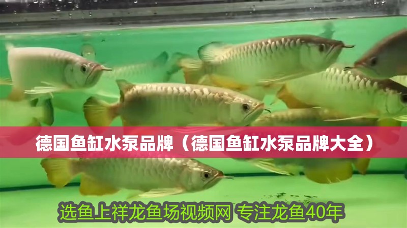 德國魚缸水泵品牌（德國魚缸水泵品牌大全）