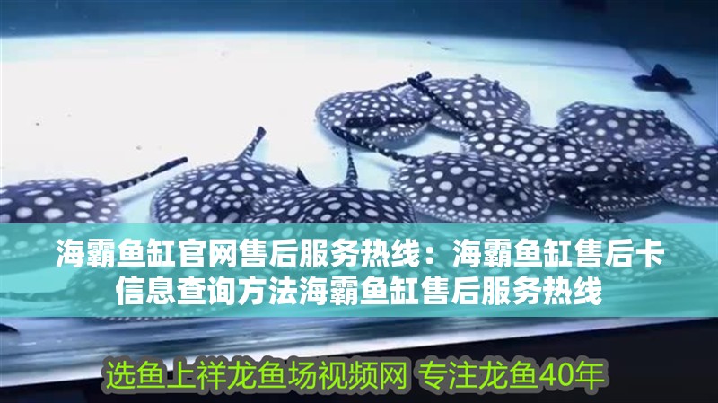 海霸魚缸官網售后服務熱線：海霸魚缸售后卡信息查詢方法海霸魚缸售后服務熱線