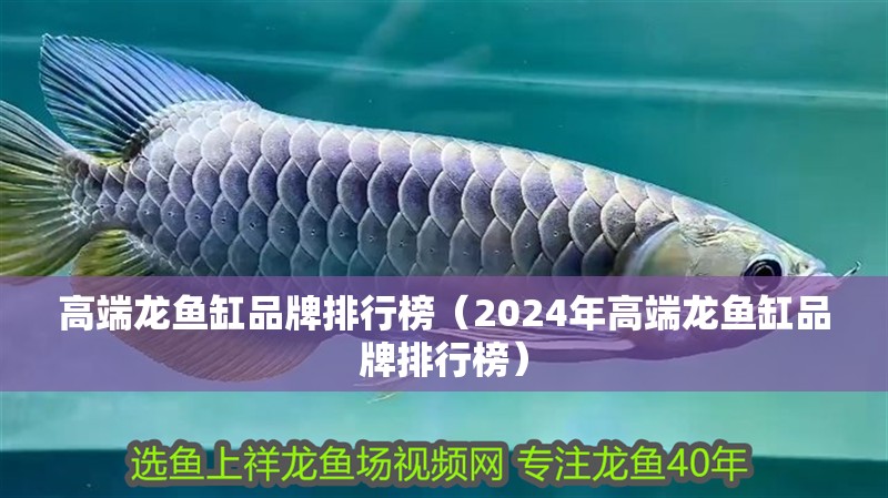 高端龍魚缸品牌排行榜（2024年高端龍魚缸品牌排行榜）