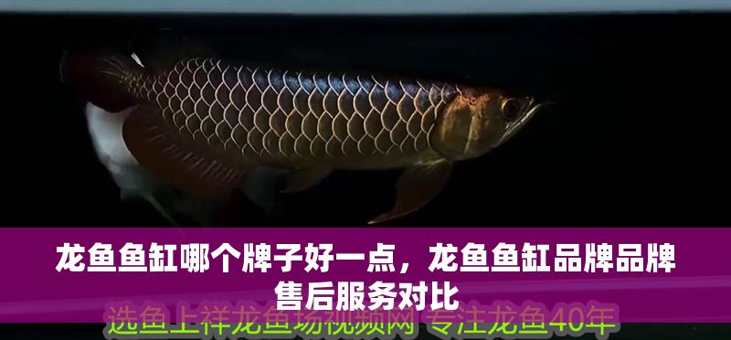 龍魚魚缸哪個牌子好一點，龍魚魚缸品牌品牌售后服務對比