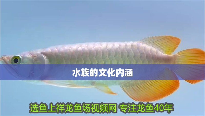 水族的文化內(nèi)涵