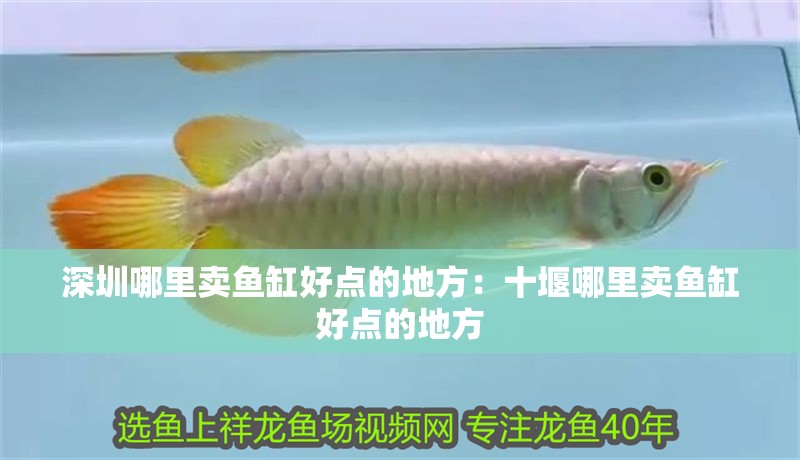 深圳哪里賣魚缸好點的地方：十堰哪里賣魚缸好點的地方