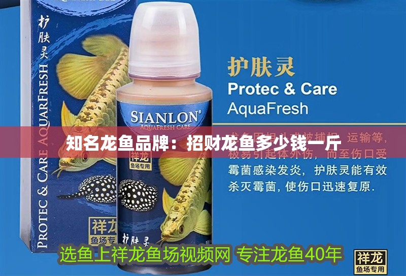 知名龍魚品牌：招財龍魚多少錢一斤