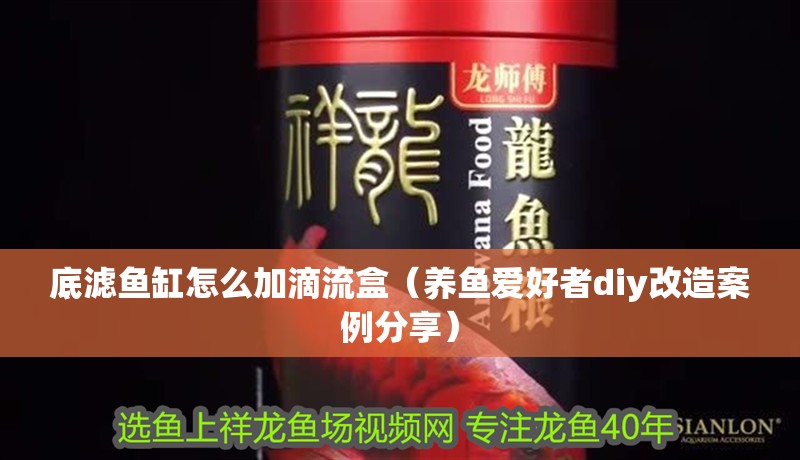 底濾魚缸怎么加滴流盒（養魚愛好者diy改造案例分享） 底濾魚缸怎么加滴流盒（養魚愛好者diy改造案例分享） 魚缸百科