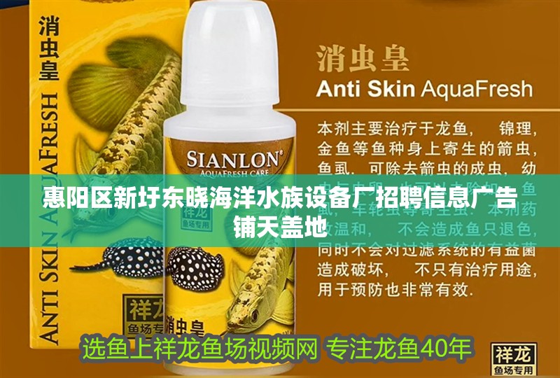 惠陽區新圩東曉海洋水族設備廠招聘信息廣告鋪天蓋地