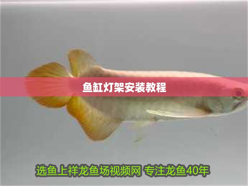 魚缸燈架安裝教程