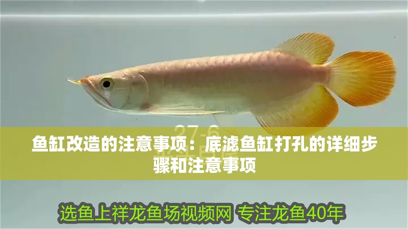魚缸改造的注意事項：底濾魚缸打孔的詳細步驟和注意事項