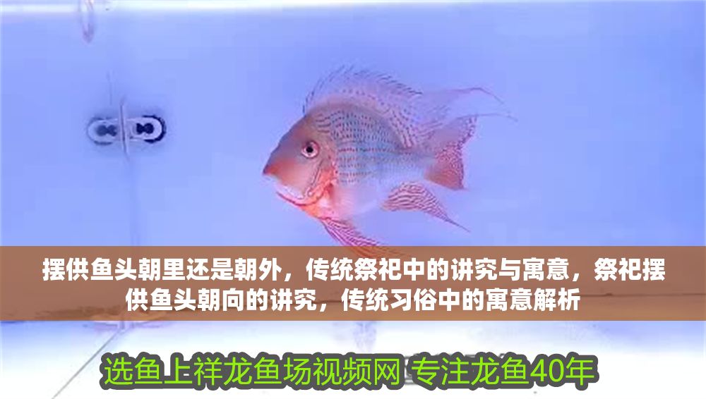 擺供魚頭朝里還是朝外，傳統祭祀中的講究與寓意，祭祀擺供魚頭朝向的講究，傳統習俗中的寓意解析