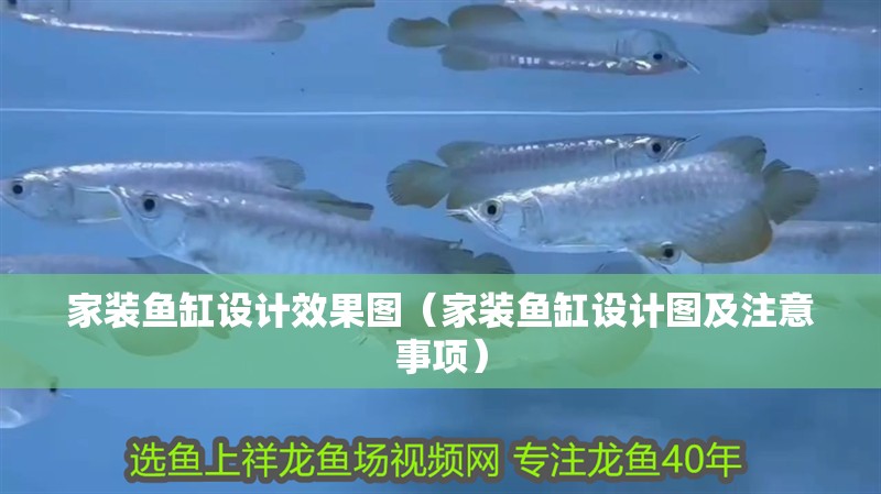 魚缸用增氧泵價(jià)格是多少:魚缸增氧機(jī)-xtrac增氧機(jī)-xtrac增氧機(jī) 家裝魚缸設(shè)計(jì)效果圖(家裝魚缸設(shè)計(jì)圖及注意事項(xiàng)) 龍魚百科 家裝魚缸設(shè)計(jì)效果圖(家裝魚缸設(shè)計(jì)圖及注意事項(xiàng)) 家裝魚缸設(shè)計(jì)效果圖(家裝魚缸設(shè)計(jì)圖及注意事項(xiàng)) 龍魚百科