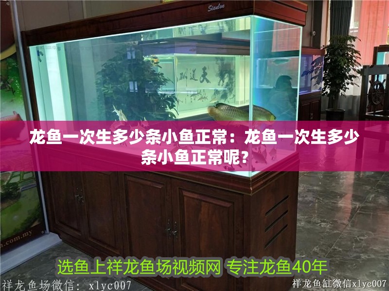 龍魚一次生多少條小魚正常：龍魚一次生多少條小魚正常呢？