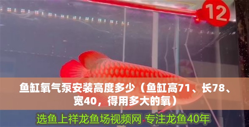 魚缸氧氣泵安裝高度多少（魚缸高71、長78、寬40，得用多大的氧）