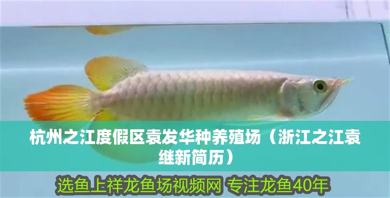 杭州之江度假區袁發華種養殖場（浙江之江袁繼新簡歷）