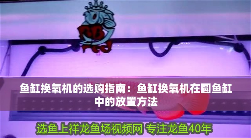 魚缸換氧機(jī)的選購指南：魚缸換氧機(jī)在圓魚缸中的放置方法