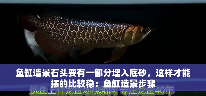 魚缸造景石頭要有一部分埋入底砂，這樣才能擺的比較穩：魚缸造景步驟