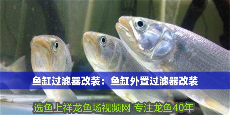 魚缸過濾器改裝：魚缸外置過濾器改裝 魚缸過濾器改裝：魚缸外置過濾器改裝 魚缸百科