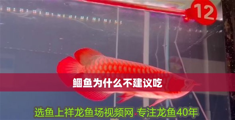 鲴魚為什么不建議吃