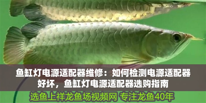 魚缸燈電源適配器維修：如何檢測電源適配器好壞，魚缸燈電源適配器選購指南