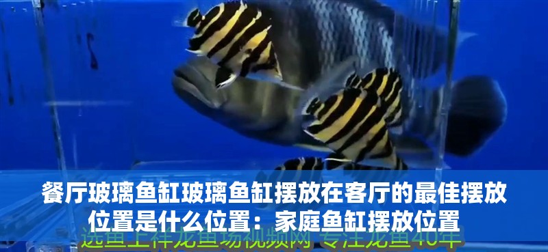 餐廳玻璃魚缸玻璃魚缸擺放在客廳的最佳擺放位置是什么位置：家庭魚缸擺放位置