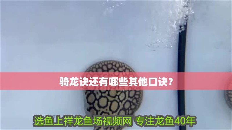 騎龍訣還有哪些其他口訣？