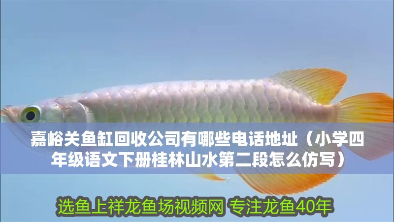 嘉峪關魚缸回收公司有哪些電話地址（小學四年級語文下冊桂林山水第二段怎么仿寫）