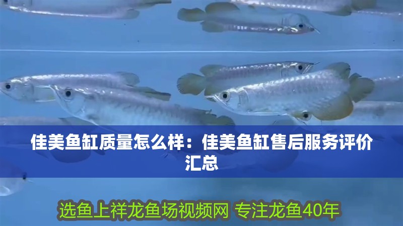 佳美魚缸質(zhì)量怎么樣：佳美魚缸售后服務(wù)評(píng)價(jià)匯總