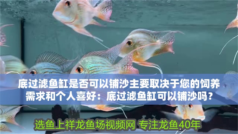 底過(guò)濾魚(yú)缸是否可以鋪沙主要取決于您的飼養(yǎng)需求和個(gè)人喜好：底過(guò)濾魚(yú)缸可以鋪沙嗎？