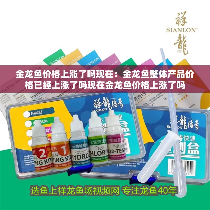 金龍魚價格上漲了嗎現在：金龍魚整體產品價格已經上漲了嗎現在金龍魚價格上漲了嗎