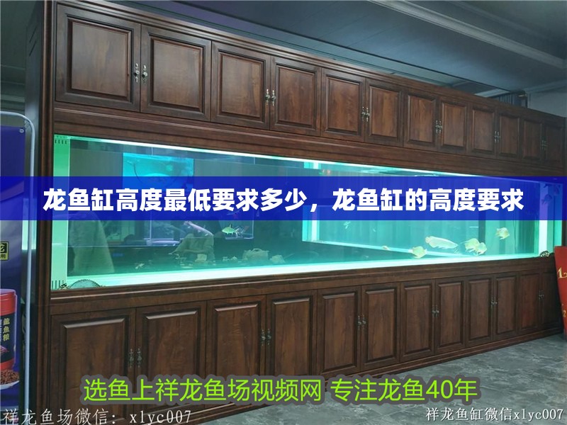 魚缸用增氧泵價格是多少:魚缸增氧機-xtrac增氧機-xtrac增氧機 龍魚缸高度最低要求多少,龍魚缸的高度要求 魚缸百科 龍魚缸高度最低要求多少,龍魚缸的高度要求 龍魚缸高度最低要求多少,龍魚缸的高度要求 魚缸百科