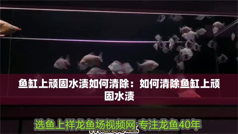 魚缸上頑固水漬如何清除：如何清除魚缸上頑固水漬