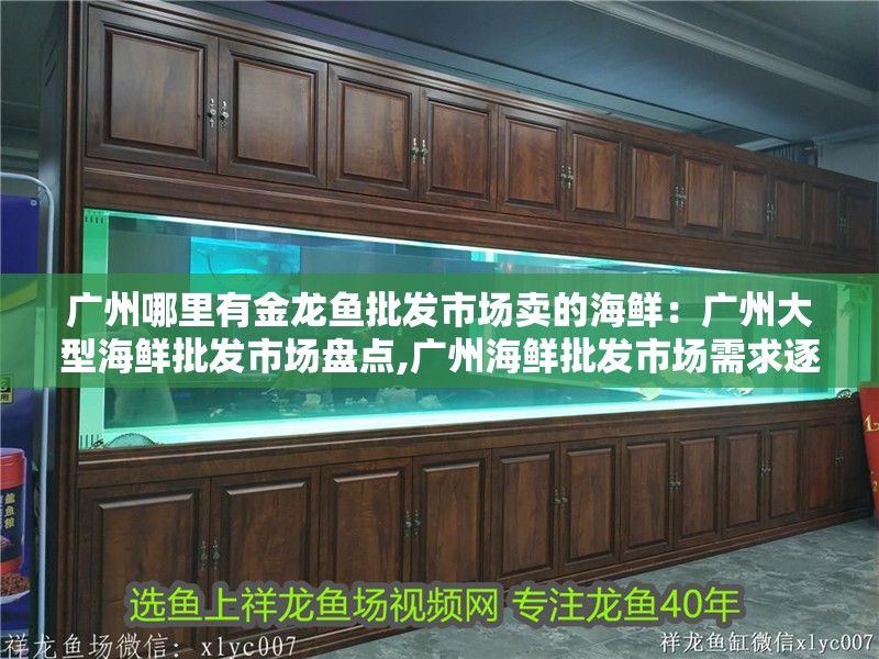 廣州哪里有金龍魚批發(fā)市場賣的海鮮：廣州大型海鮮批發(fā)市場盤點,廣州海鮮批發(fā)市場需求逐年增加