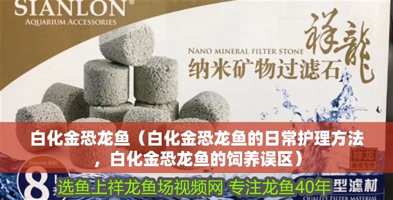 白化金恐龍魚(yú)（白化金恐龍魚(yú)的日常護(hù)理方法，白化金恐龍魚(yú)的飼養(yǎng)誤區(qū)）