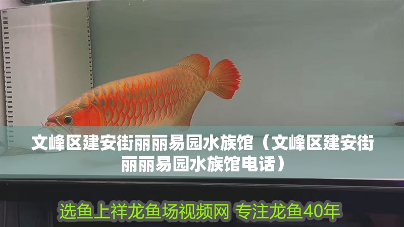 文峰區建安街麗麗易園水族館（文峰區建安街麗麗易園水族館電話）