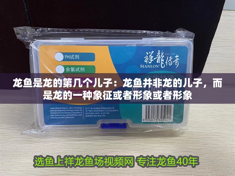 龍魚是龍的第幾個兒子：龍魚并非龍的兒子，而是龍的一種象征或者形象或者形象