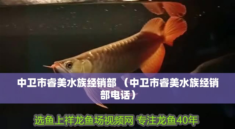 中衛市睿美水族經銷部 （中衛市睿美水族經銷部電話）
